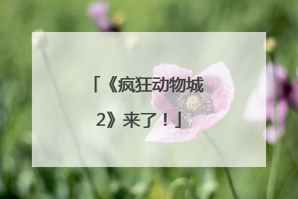 《疯狂动物城2》来了！