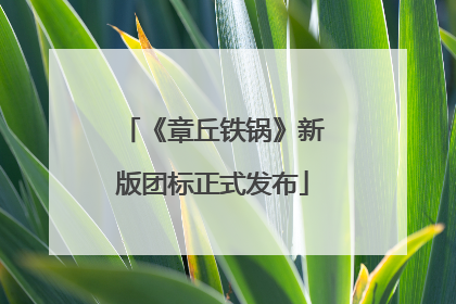 《章丘铁锅》新版团标正式发布