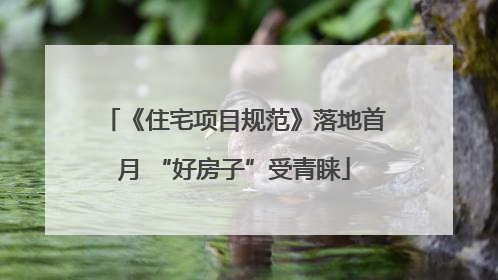 《住宅项目规范》落地首月 “好房子”受青睐