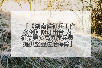 《湖南省征兵工作条例》修订出台 为征集更多高素质兵员提供坚强法治保障