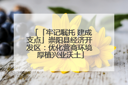 「牢记嘱托 建成支点」崇阳县经济开发区：优化营商环境 厚植兴业沃土