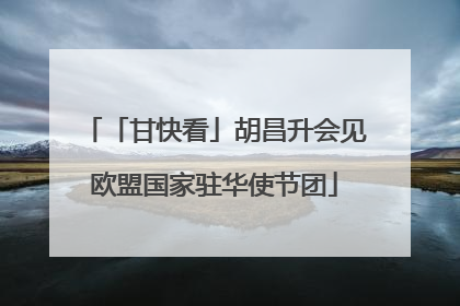 「甘快看」胡昌升会见欧盟国家驻华使节团