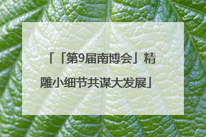 「第9届南博会」精雕小细节共谋大发展