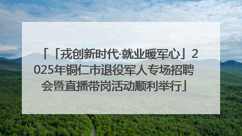 「戎创新时代·就业暖军心」2025年铜仁市退役军人专场招聘会暨直播带岗活动顺利举行