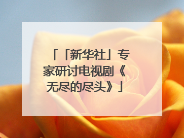 「新华社」专家研讨电视剧《无尽的尽头》