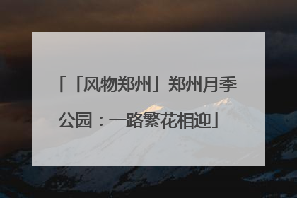 「风物郑州」郑州月季公园：一路繁花相迎