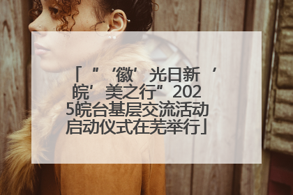 “‘徽’光日新‘皖’美之行”2025皖台基层交流活动启动仪式在芜举行