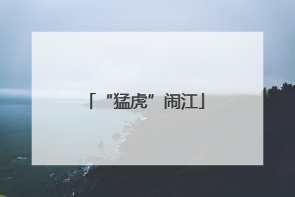 “猛虎”闹江