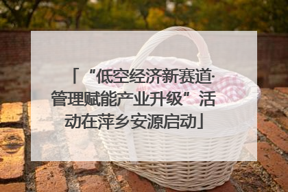 “低空经济新赛道·管理赋能产业升级”活动在萍乡安源启动