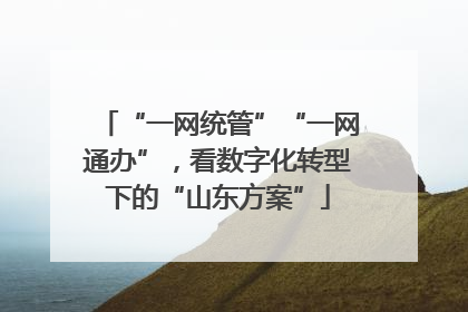 “一网统管”“一网通办”，看数字化转型下的“山东方案”