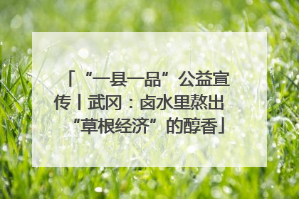 “一县一品”公益宣传丨武冈：卤水里熬出“草根经济”的醇香