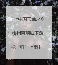 “中国玉藕之乡”柳州百朋镇玉藕抢“鲜”上市