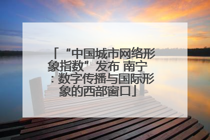 “中国城市网络形象指数”发布 南宁：数字传播与国际形象的西部窗口