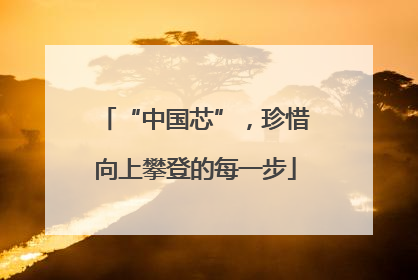 “中国芯”，珍惜向上攀登的每一步