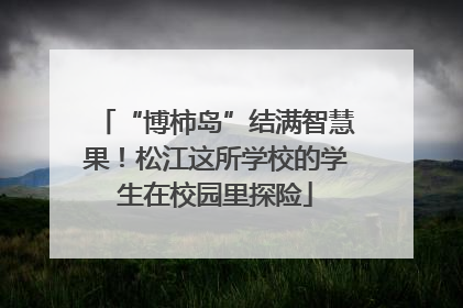 “博柿岛”结满智慧果！松江这所学校的学生在校园里探险