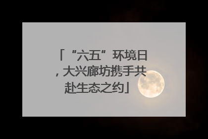“六五”环境日，大兴廊坊携手共赴生态之约