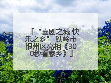 “喜剧之城 快乐之乡” 铁岭市银州区亮相《300秒看家乡》