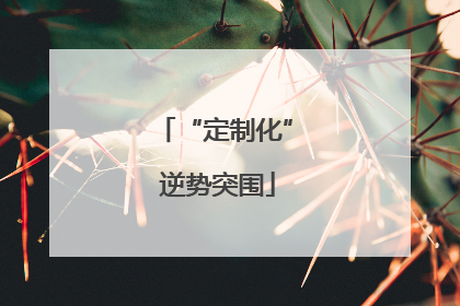 “定制化” 逆势突围