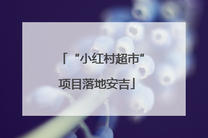 “小红村超市”项目落地安吉