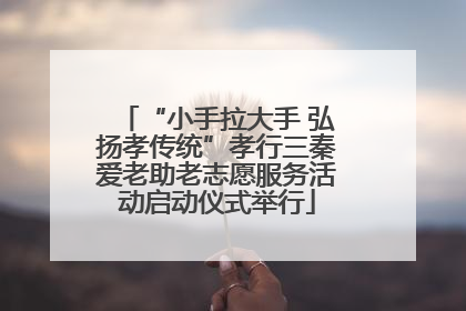 “小手拉大手 弘扬孝传统”孝行三秦爱老助老志愿服务活动启动仪式举行