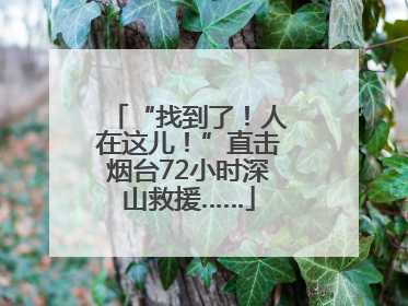 “找到了！人在这儿！”直击烟台72小时深山救援……