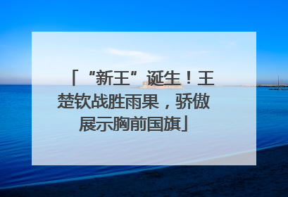 “新王”诞生！王楚钦战胜雨果，骄傲展示胸前国旗