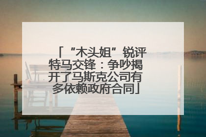 “木头姐”锐评特马交锋：争吵揭开了马斯克公司有多依赖政府合同