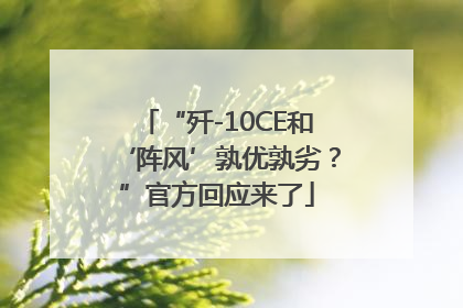 “歼-10CE和‘阵风’孰优孰劣？”官方回应来了