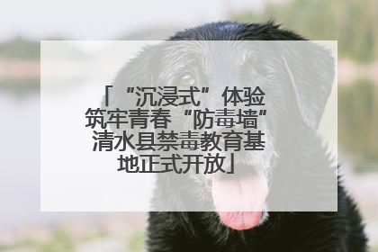 “沉浸式”体验 筑牢青春“防毒墙” 清水县禁毒教育基地正式开放
