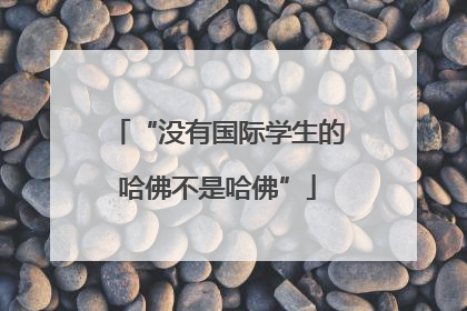 “没有国际学生的哈佛不是哈佛”