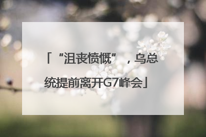 “沮丧愤慨”，乌总统提前离开G7峰会
