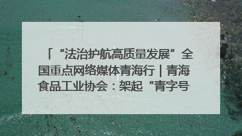 “法治护航高质量发展”全国重点网络媒体青海行｜青海食品工业协会：架起“青字号”美食的产业化桥梁