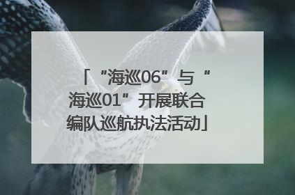 “海巡06”与“海巡01”开展联合编队巡航执法活动