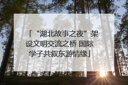 “湖北故事之夜”架设文明交流之桥 国际学子共叙东游情缘