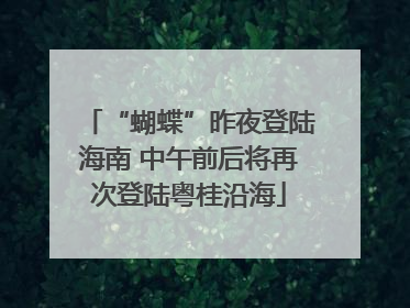 “蝴蝶”昨夜登陆海南 中午前后将再次登陆粤桂沿海