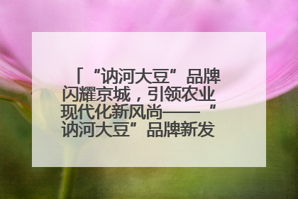 “讷河大豆”品牌闪耀京城，引领农业现代化新风尚——“讷河大豆”品牌新发地推介会圆满落幕