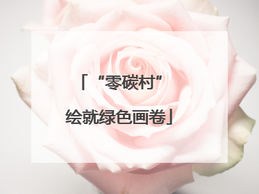 “零碳村” 绘就绿色画卷