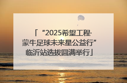 “2025希望工程·蒙牛足球未来星公益行”临沂站选拔圆满举行