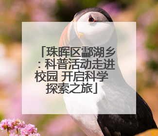 珠晖区酃湖乡：科普活动走进校园 开启科学探索之旅