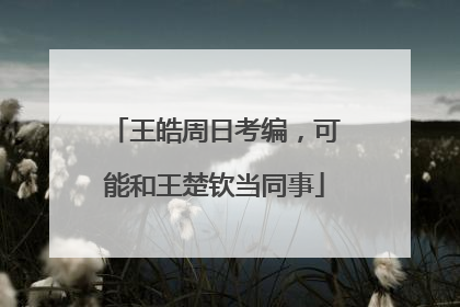 王皓周日考编，可能和王楚钦当同事