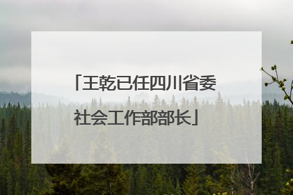 王乾已任四川省委社会工作部部长