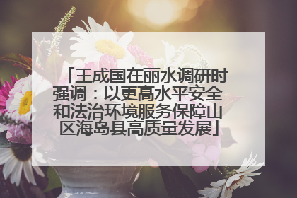 王成国在丽水调研时强调：以更高水平安全和法治环境服务保障山区海岛县高质量发展