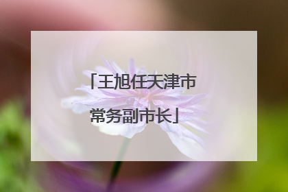 王旭任天津市常务副市长