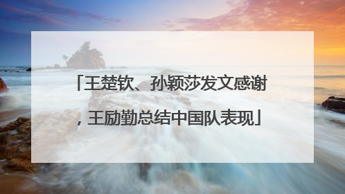 王楚钦、孙颖莎发文感谢，王励勤总结中国队表现