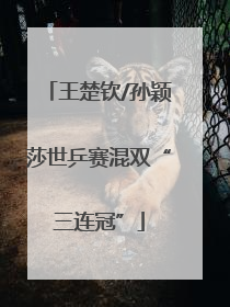 王楚钦/孙颖莎世乒赛混双“三连冠”