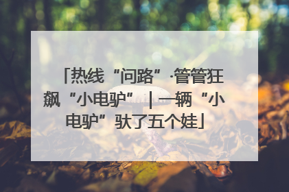 热线“问路”·管管狂飙“小电驴”｜一辆“小电驴”驮了五个娃