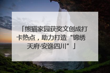 熊猫家园获奖文创成打卡热点，助力打造“锦绣天府·安逸四川”