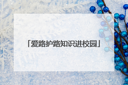 爱路护路知识进校园