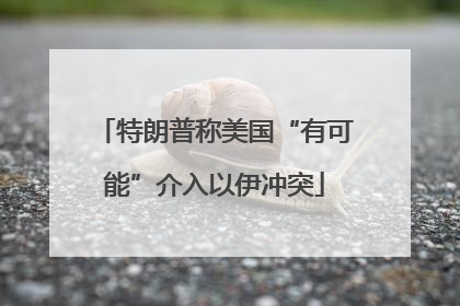 特朗普称美国“有可能”介入以伊冲突
