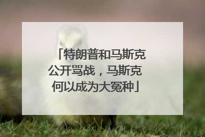 特朗普和马斯克公开骂战，马斯克何以成为大冤种